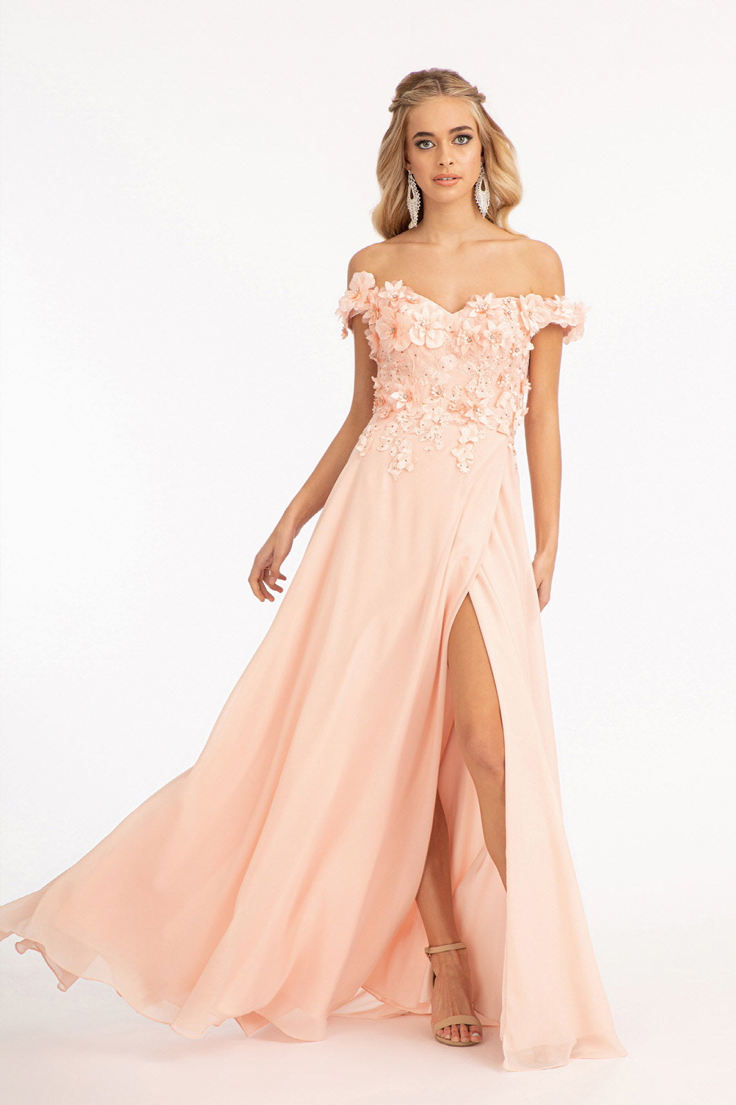 Floral 3D Applique Embellished Bodice A-Line Chiffon Long Prom Dress GLGL3018