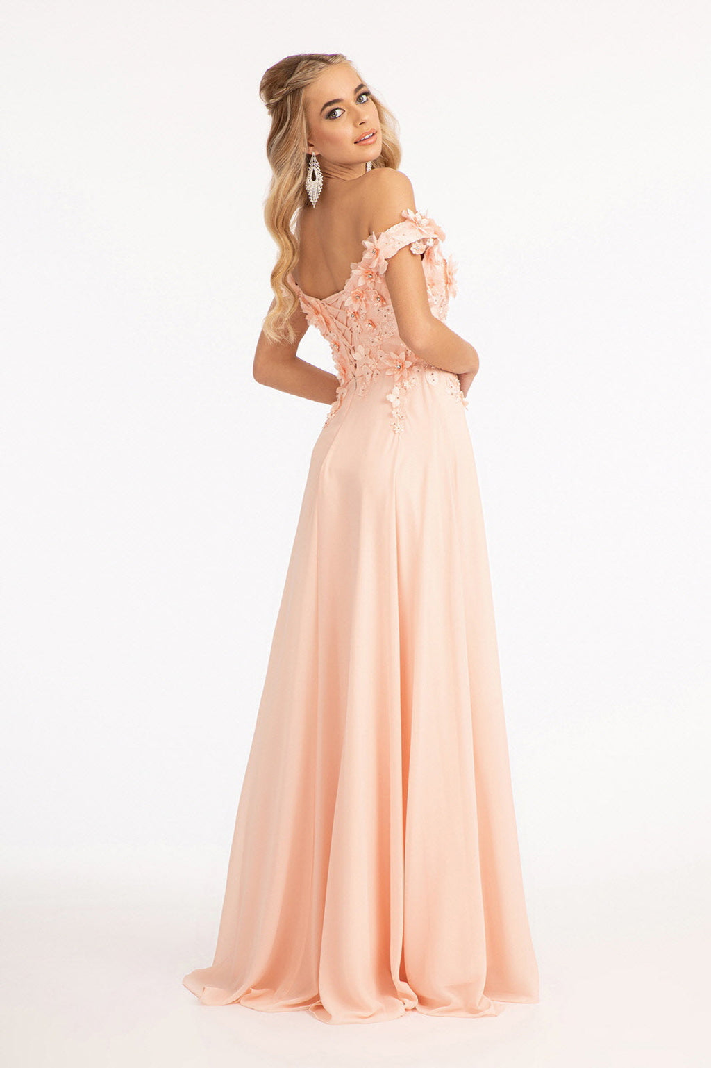 Floral 3D Applique Embellished Bodice A-Line Chiffon Long Prom Dress GLGL3018