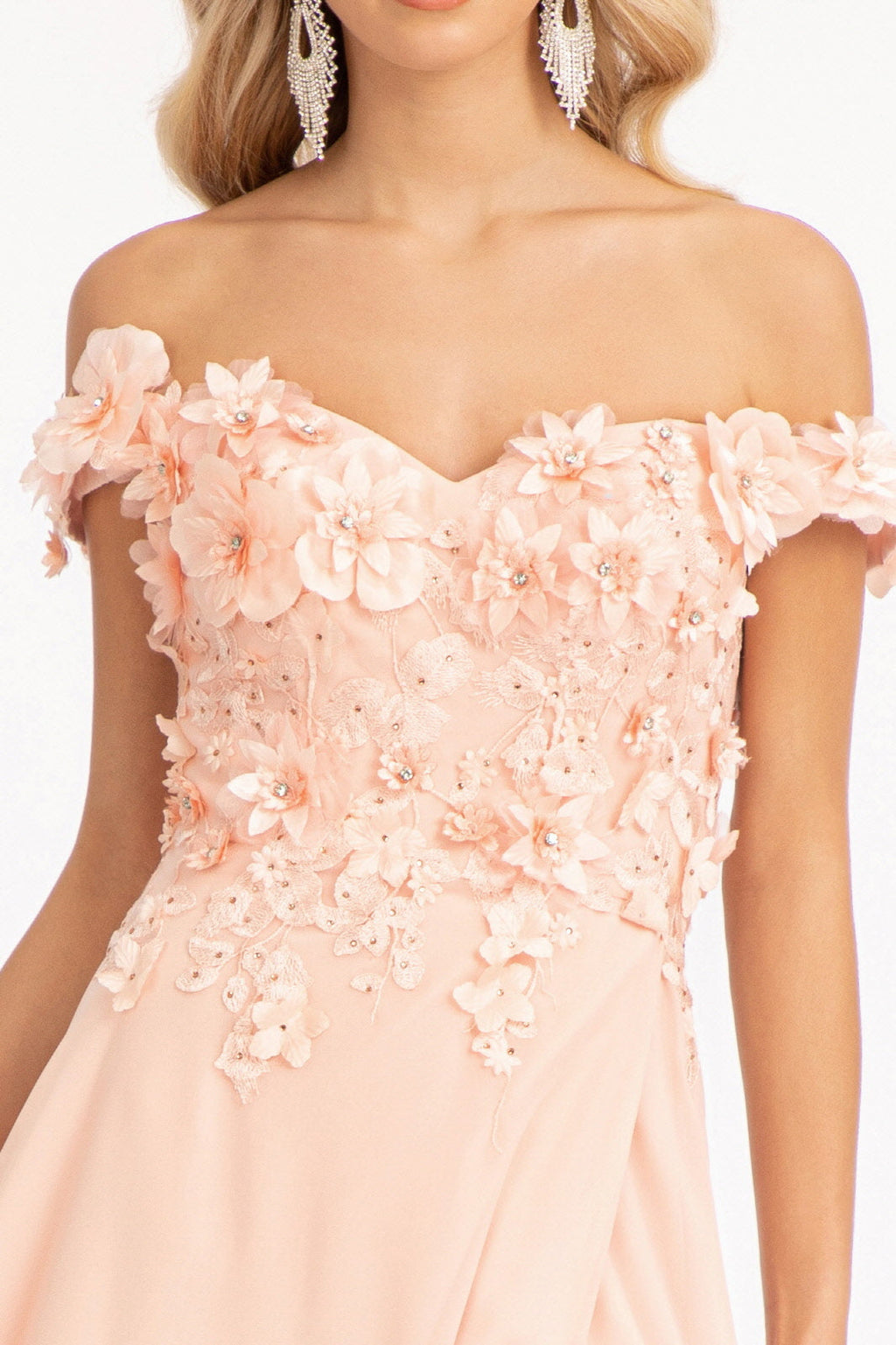 Floral 3D Applique Embellished Bodice A-Line Chiffon Long Prom Dress GLGL3018