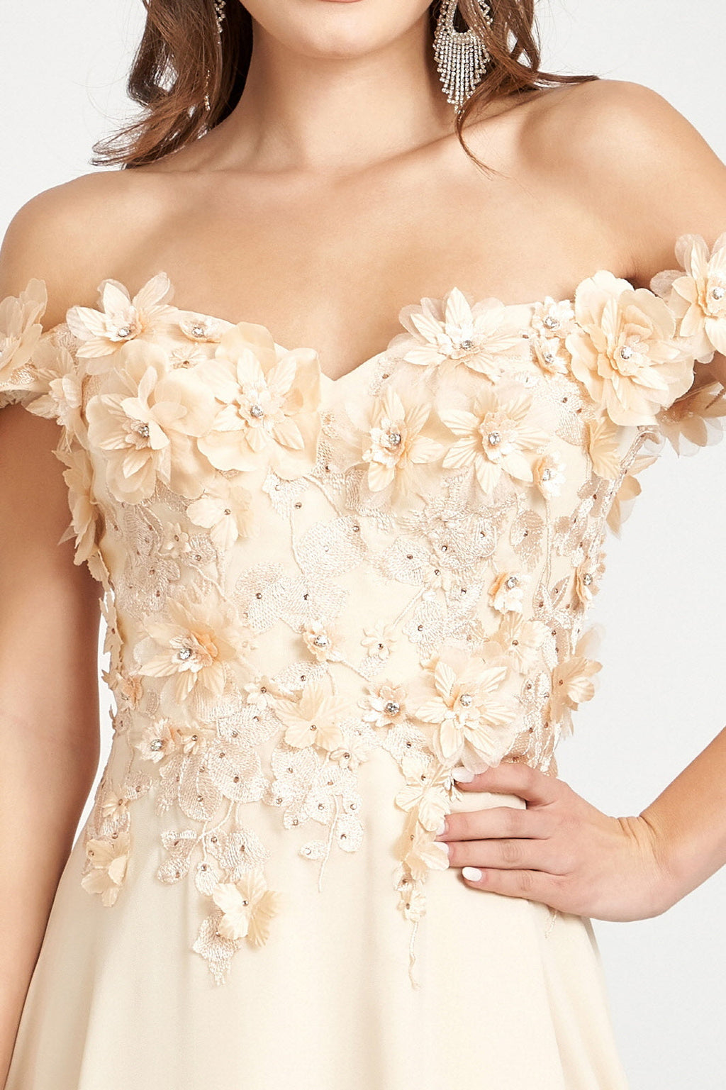 Floral 3D Applique Embellished Bodice A-Line Chiffon Long Prom Dress GLGL3018