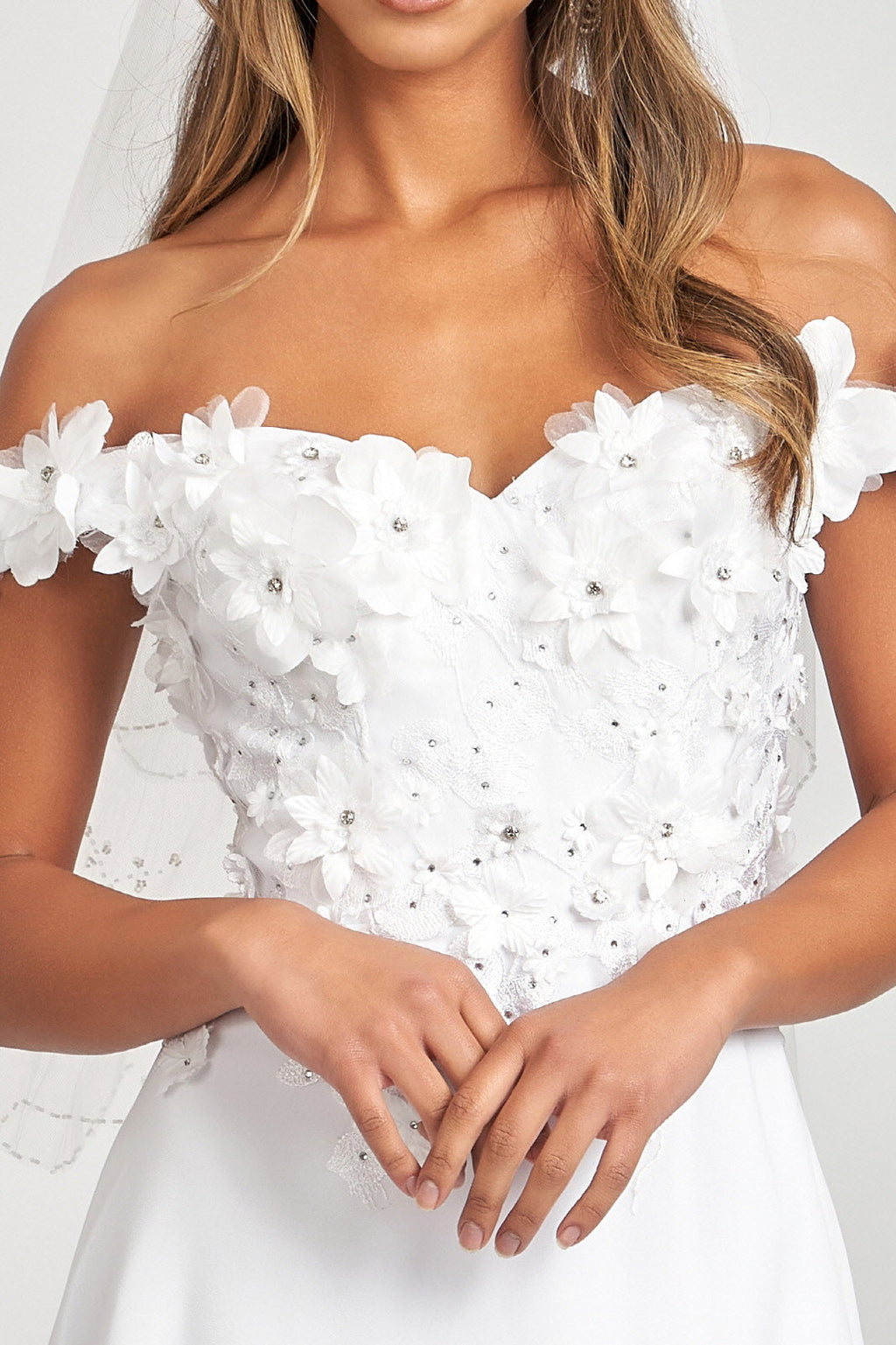 Floral 3D Applique Embellished Bodice A-Line Chiffon Long Prom Dress GLGL3018