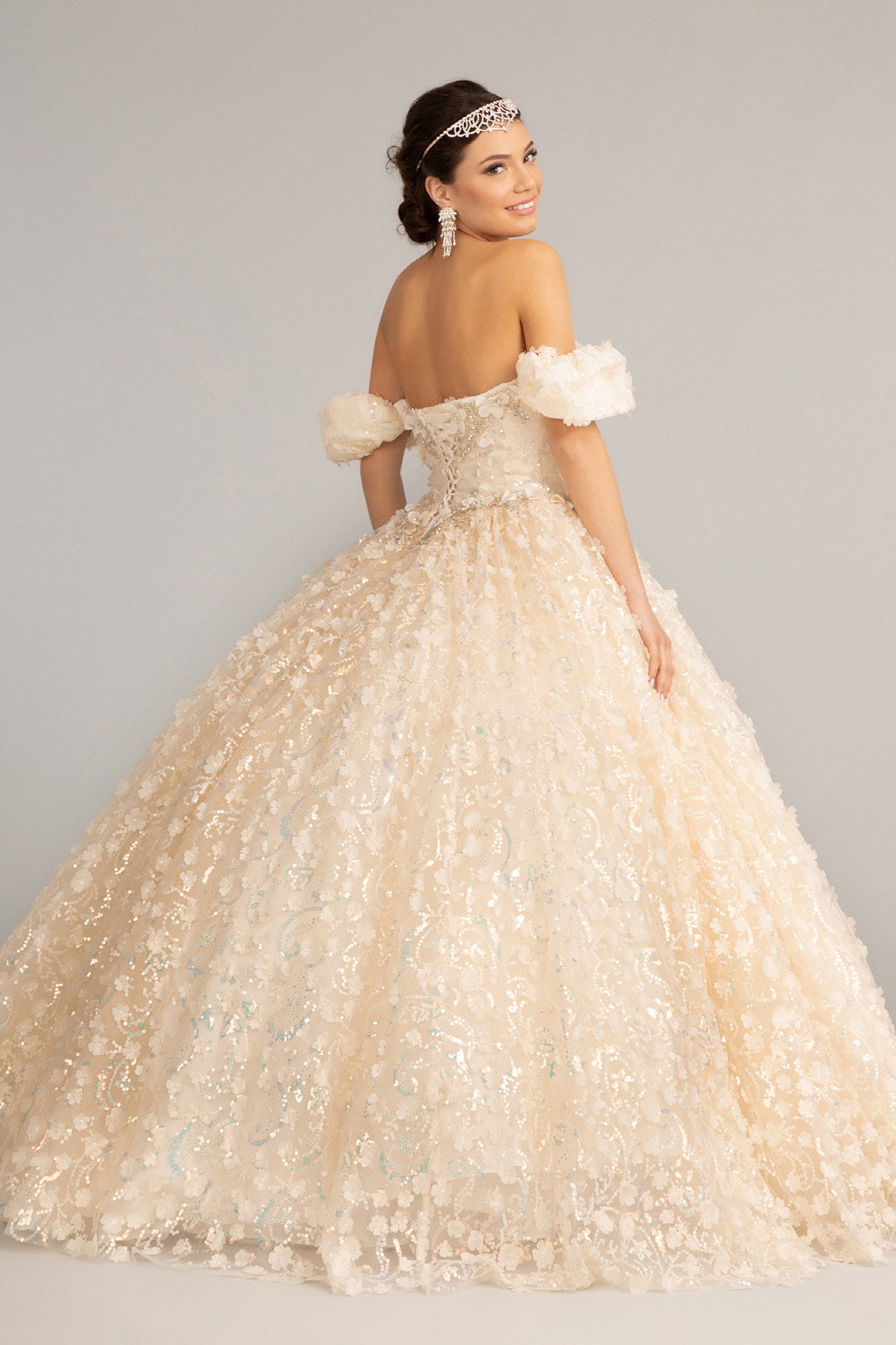 Jewel Embellished Quinceanera Mesh Gown w/ 3D Applique and Corset Bodice GLGL3019