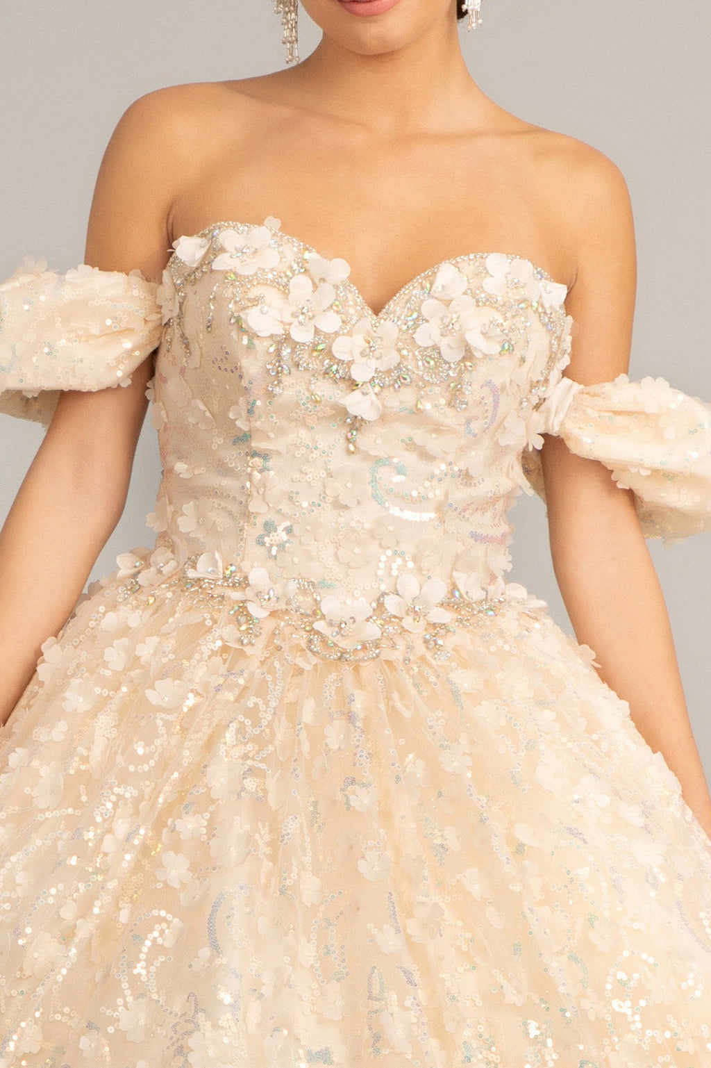 Jewel Embellished Quinceanera Mesh Gown w/ 3D Applique and Corset Bodice GLGL3019