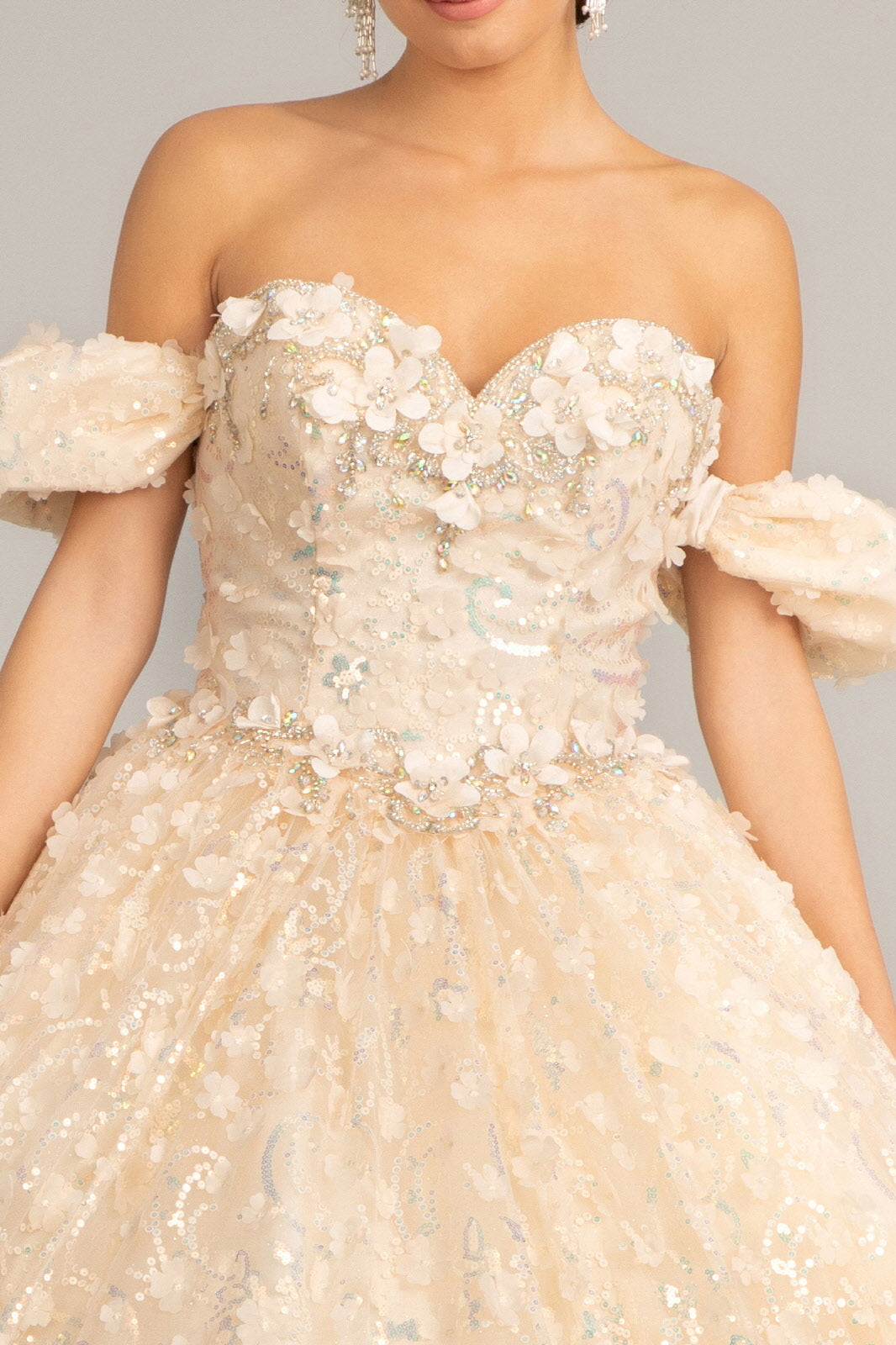 Jewel Embellished Quinceanera Mesh Gown w/ 3D Applique and Corset Bodice GLGL3019
