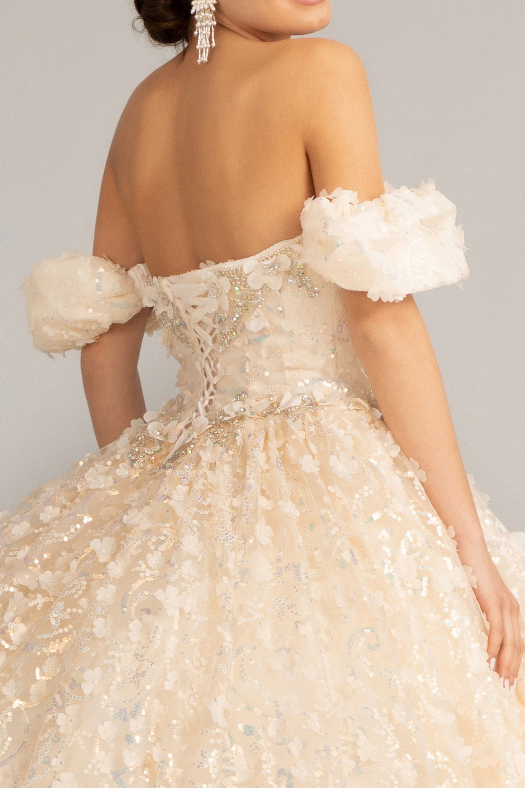Jewel Embellished Quinceanera Mesh Gown w/ 3D Applique and Corset Bodice GLGL3019