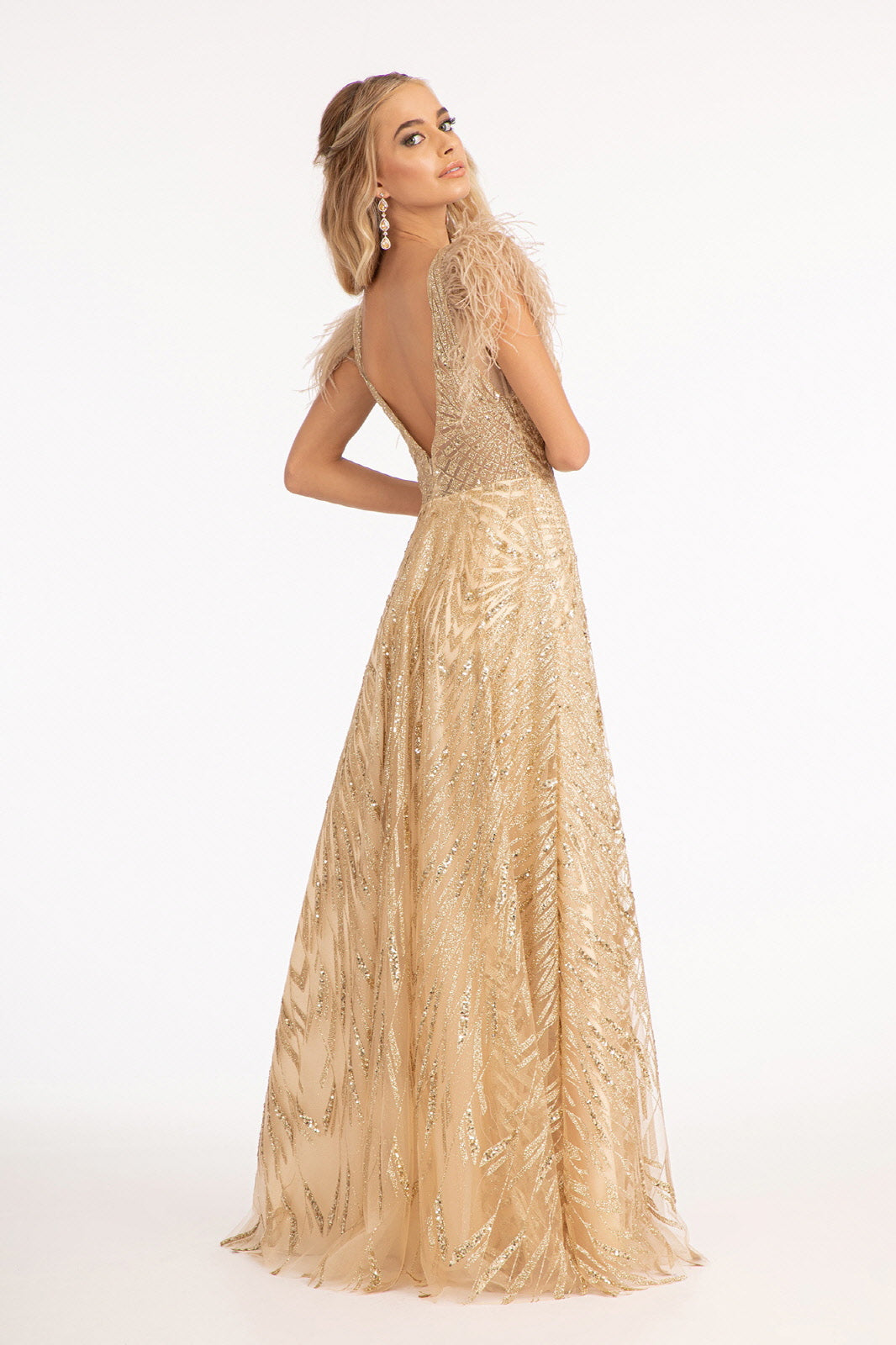 Feather-Shoulder Embellished A-line w/ Open V-back Long Prom Dress GLGL3046