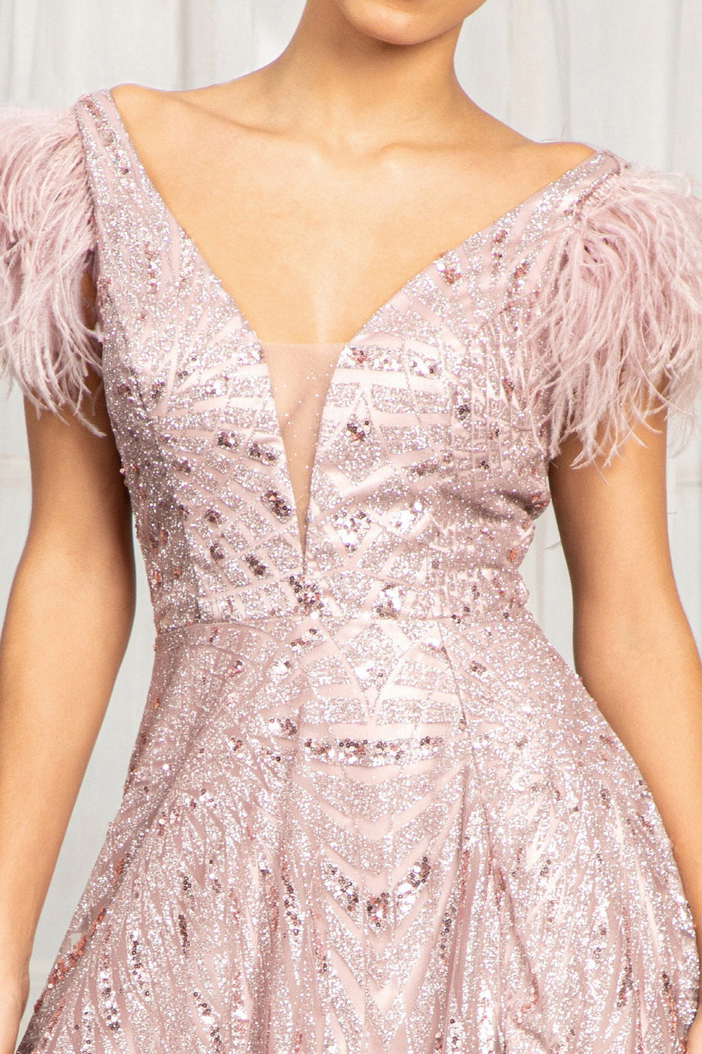 Feather-Shoulder Embellished A-line w/ Open V-back Long Prom Dress GLGL3046