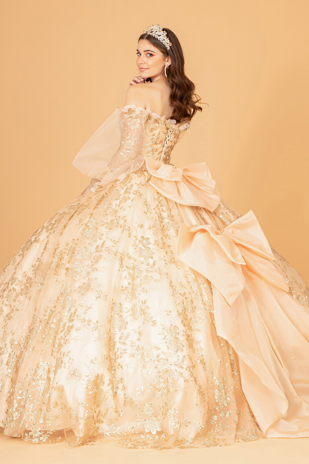 Mesh Long Sleeves w/ Detachable Ribbon and Mini Bag Quinceanera Dress GLGL3071