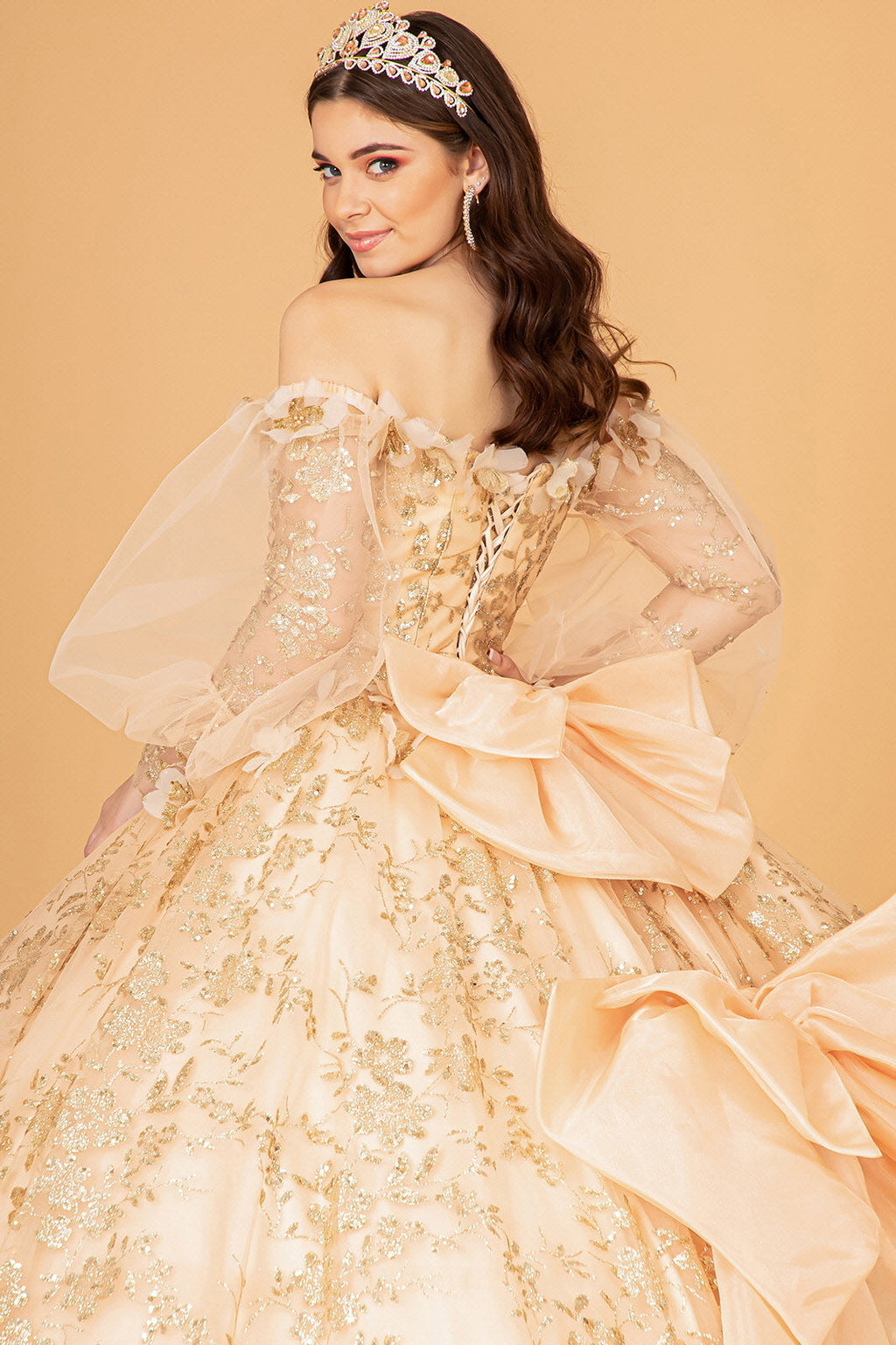 Mesh Long Sleeves w/ Detachable Ribbon and Mini Bag Quinceanera Dress GLGL3071