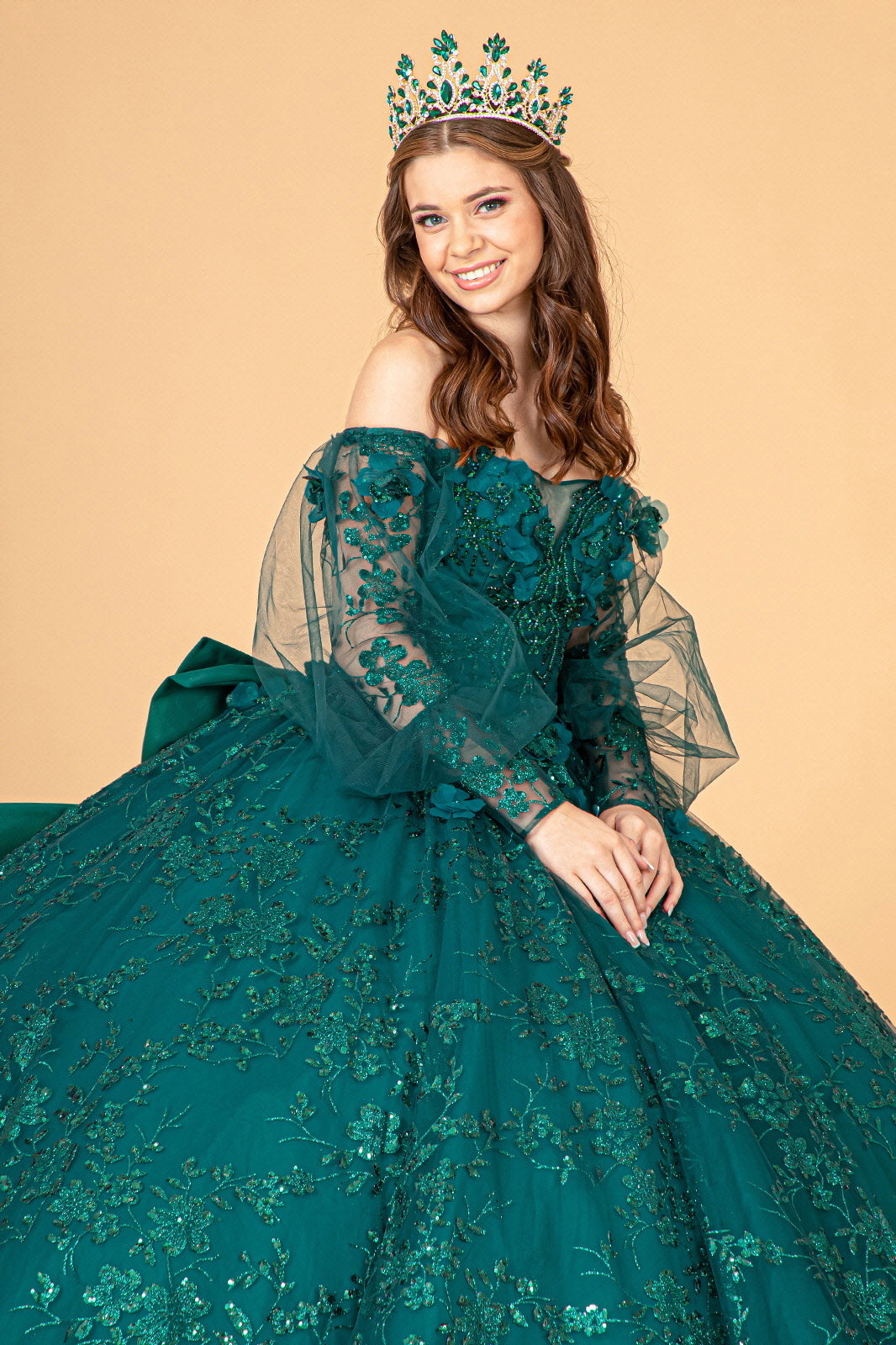 Mesh Long Sleeves w/ Detachable Ribbon and Mini Bag Quinceanera Dress GLGL3071