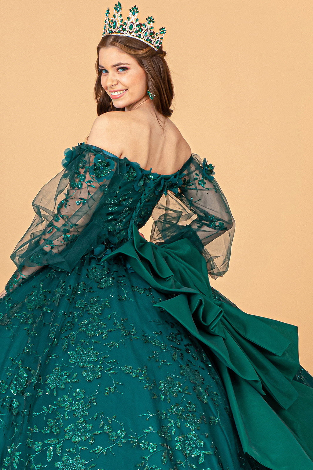 Mesh Long Sleeves w/ Detachable Ribbon and Mini Bag Quinceanera Dress GLGL3071