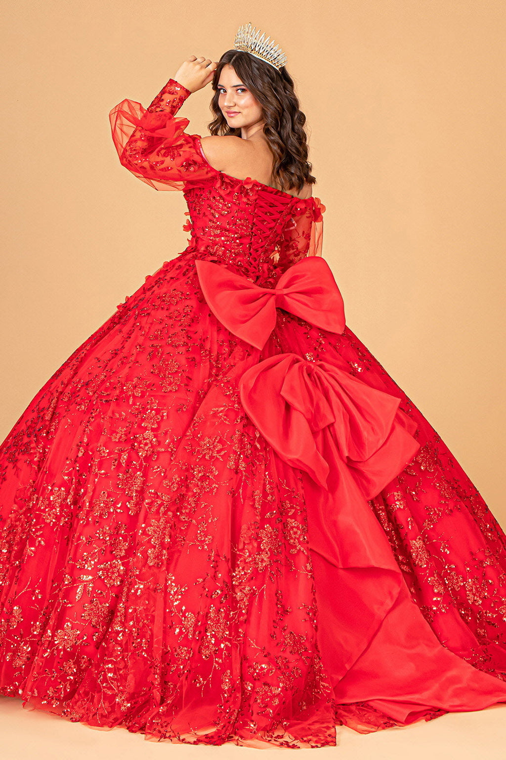 Mesh Long Sleeves w/ Detachable Ribbon and Mini Bag Quinceanera Dress GLGL3071