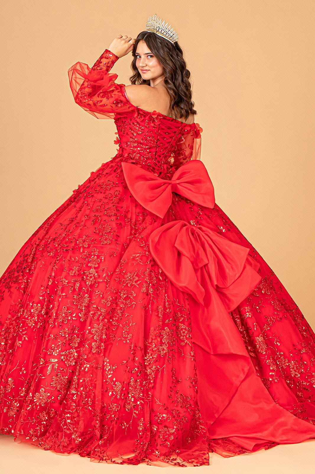 Mesh Long Sleeves w/ Detachable Ribbon and Mini Bag Quinceanera Dress GLGL3071