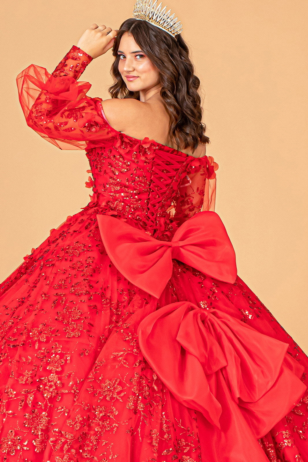 Mesh Long Sleeves w/ Detachable Ribbon and Mini Bag Quinceanera Dress GLGL3071