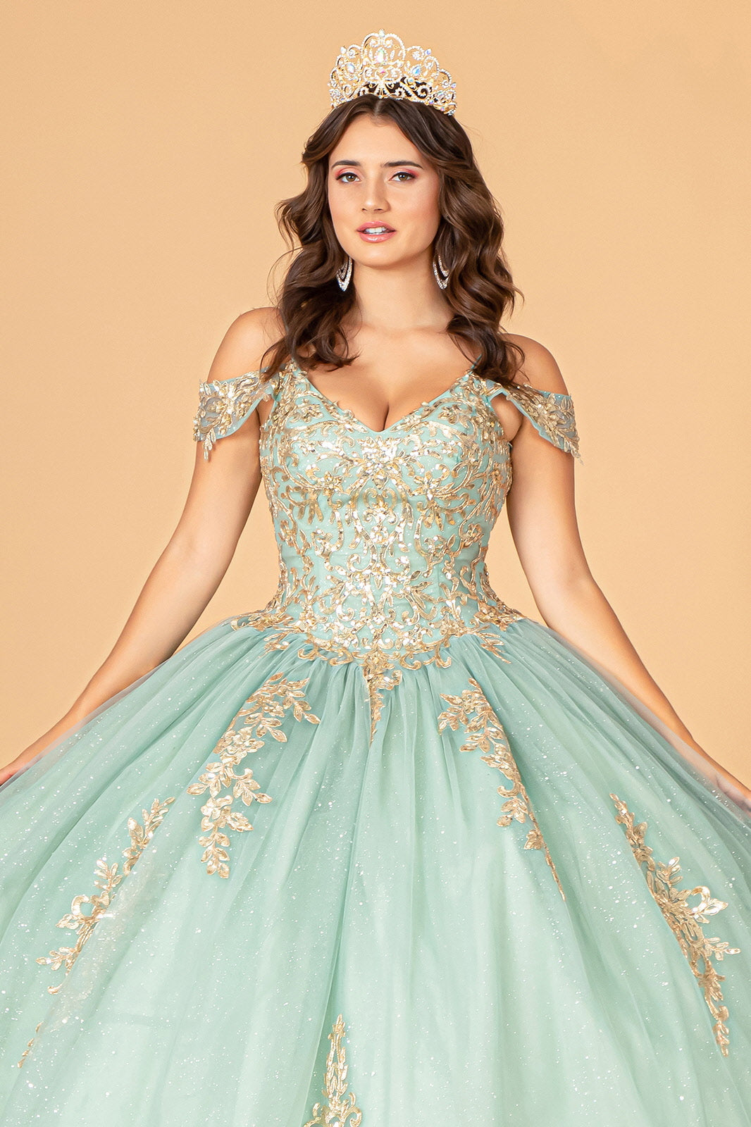 Gold Embroidered Mesh w/ Corset Back Quinceanera Ball Dress GLGL3100