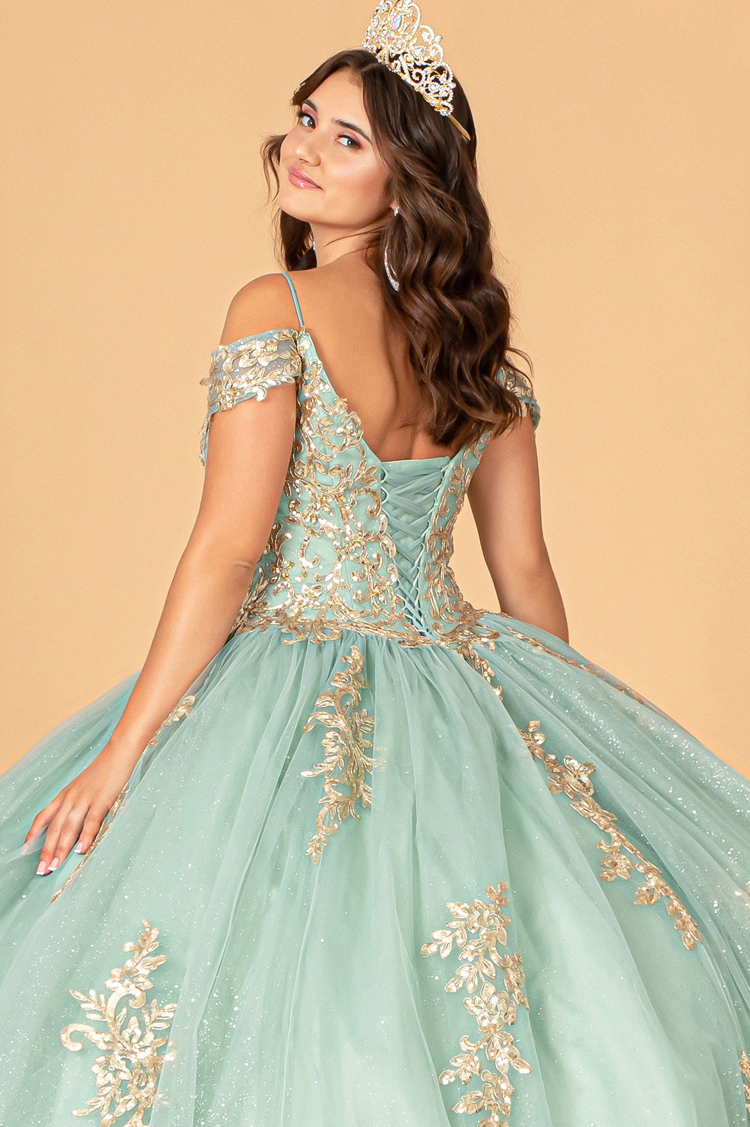Gold Embroidered Mesh w/ Corset Back Quinceanera Ball Dress GLGL3100