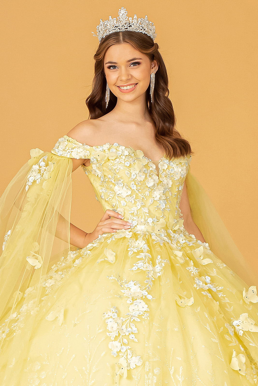 Embroidery Glitter w/ Long Mesh Layer Quinceanera Dress GLGL3111