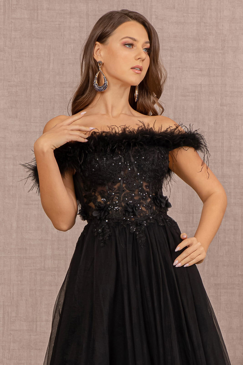Embroidery Sheer Front Mesh A-line w/ Feather Embellishment Long Prom Dress&nbsp; GLGL3138