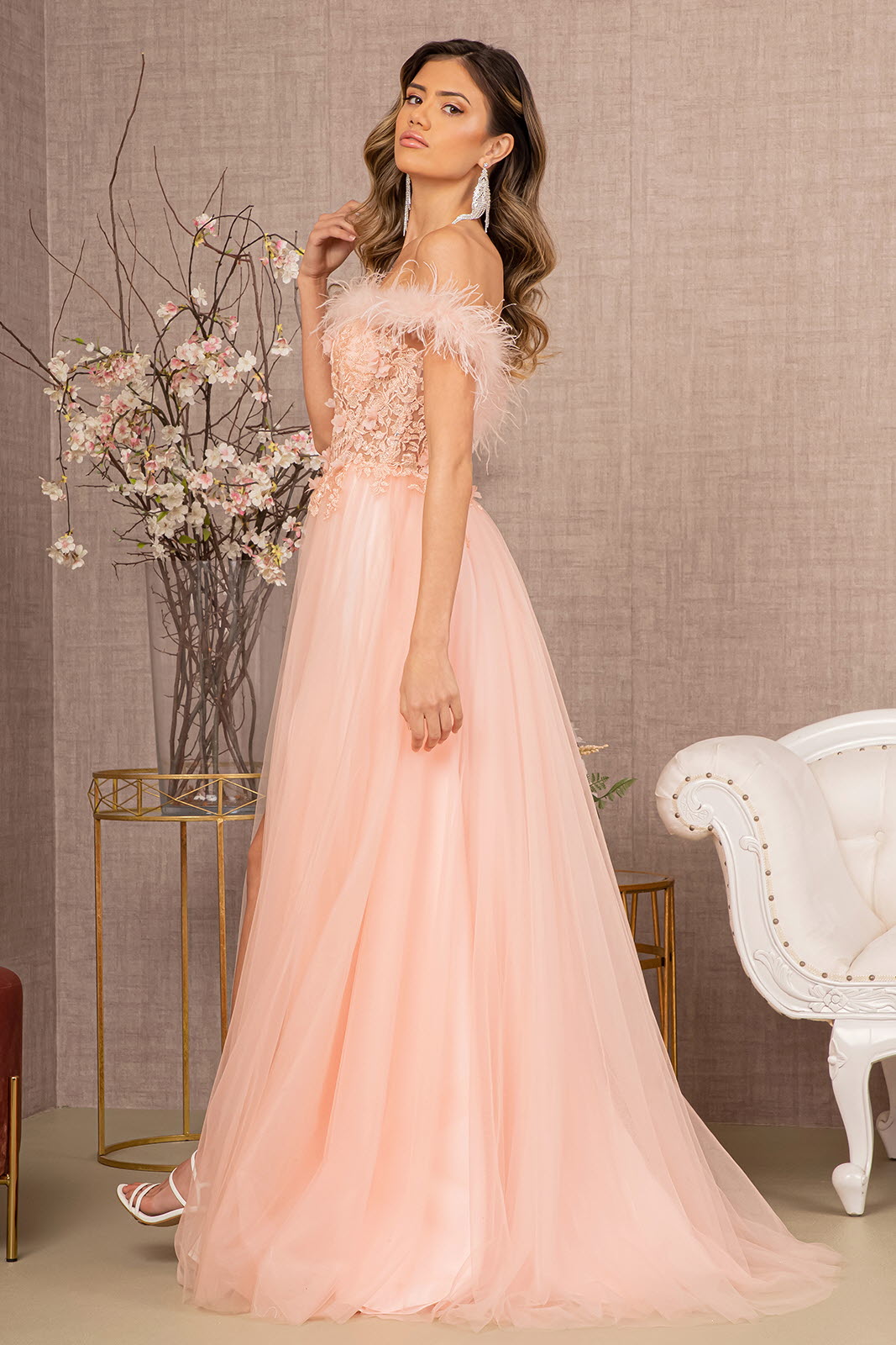 Embroidery Sheer Front Mesh A-line w/ Feather Embellishment Long Prom Dress&nbsp; GLGL3138