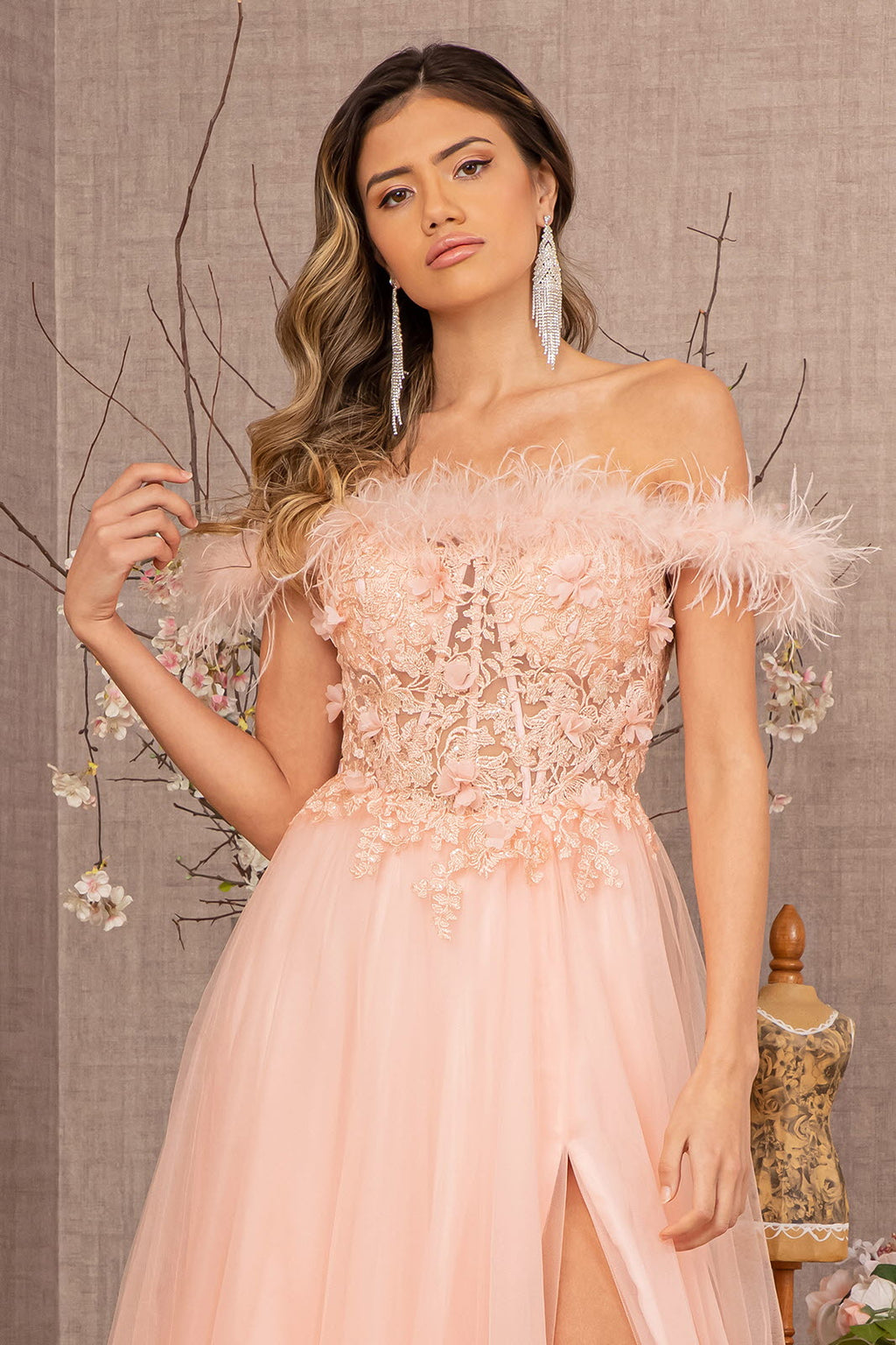 Embroidery Sheer Front Mesh A-line w/ Feather Embellishment Long Prom Dress&nbsp; GLGL3138