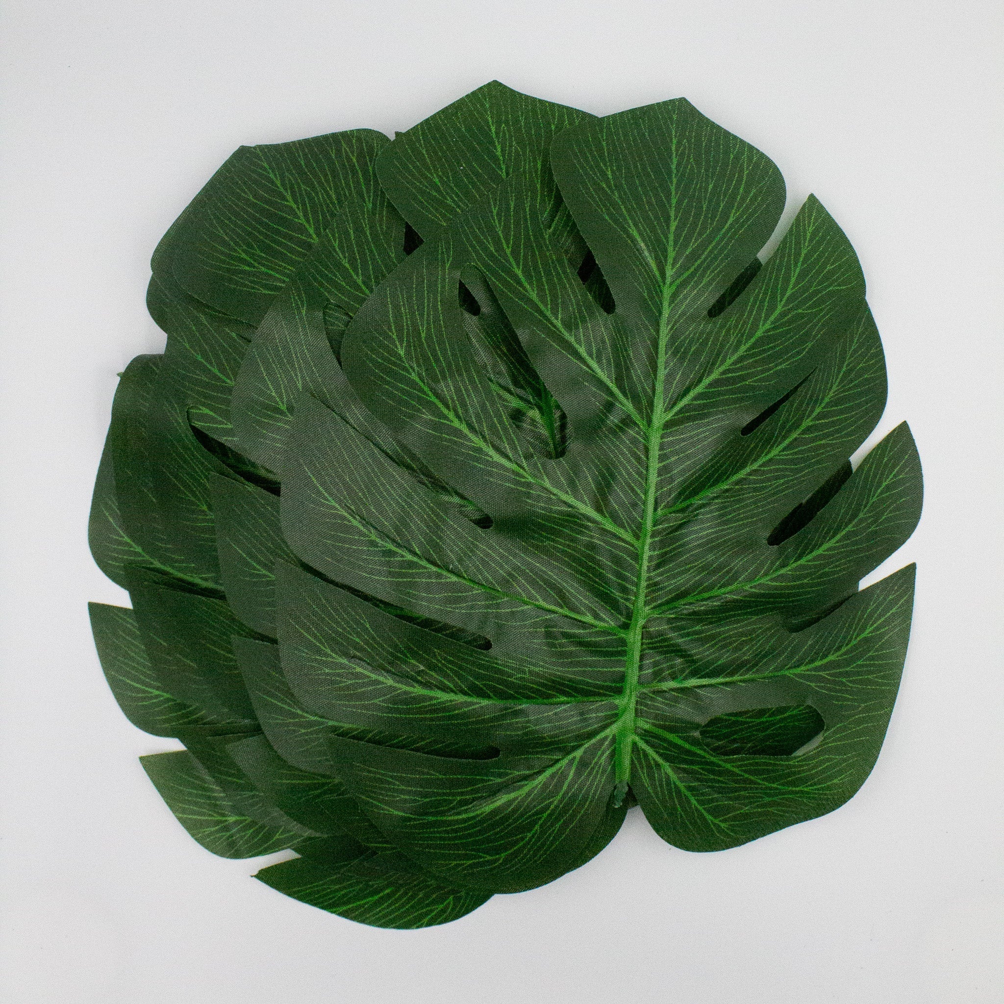 Monstera Tropical Leaves