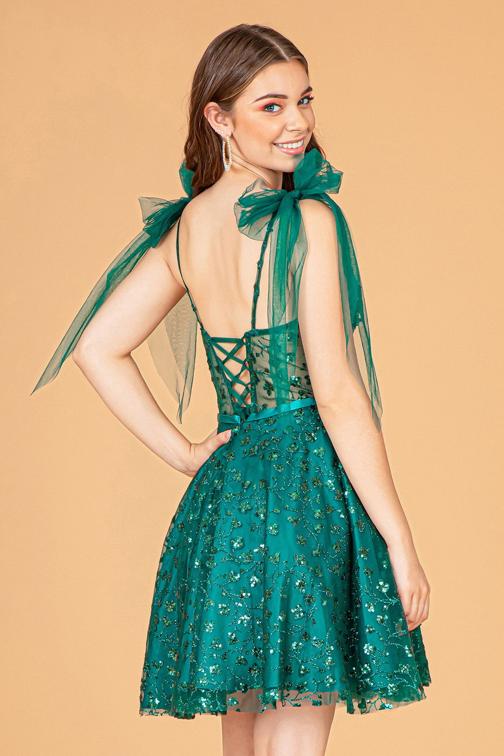 Statuesque Mesh A-Line Homecoming Gown w/ Ribbon Attachment GLGL3088