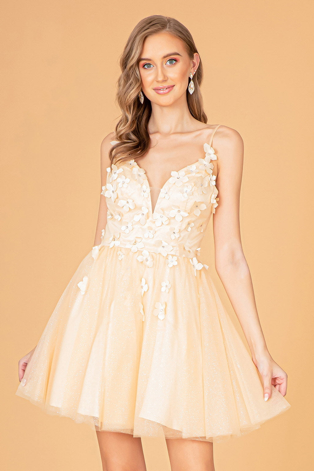 Mesh Babydoll with 3D Appliques and Corset Back Short Homecoming Dress GLGS3090