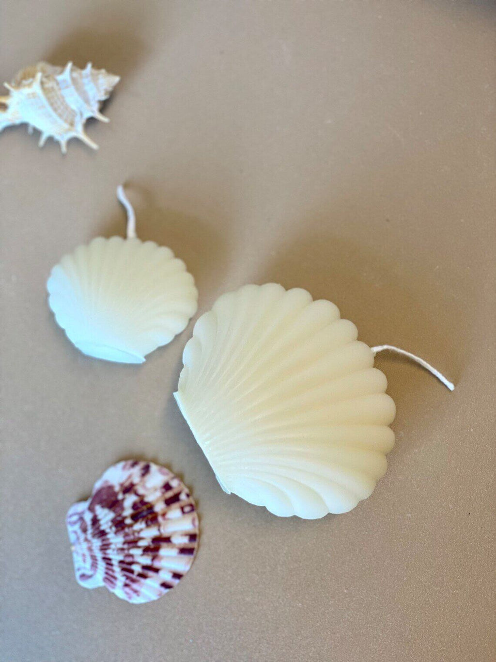 Handmade Soy Wax Shell Candles - Unique Eco-Friendly Decor with Soy Wax Shell Handmade Candles