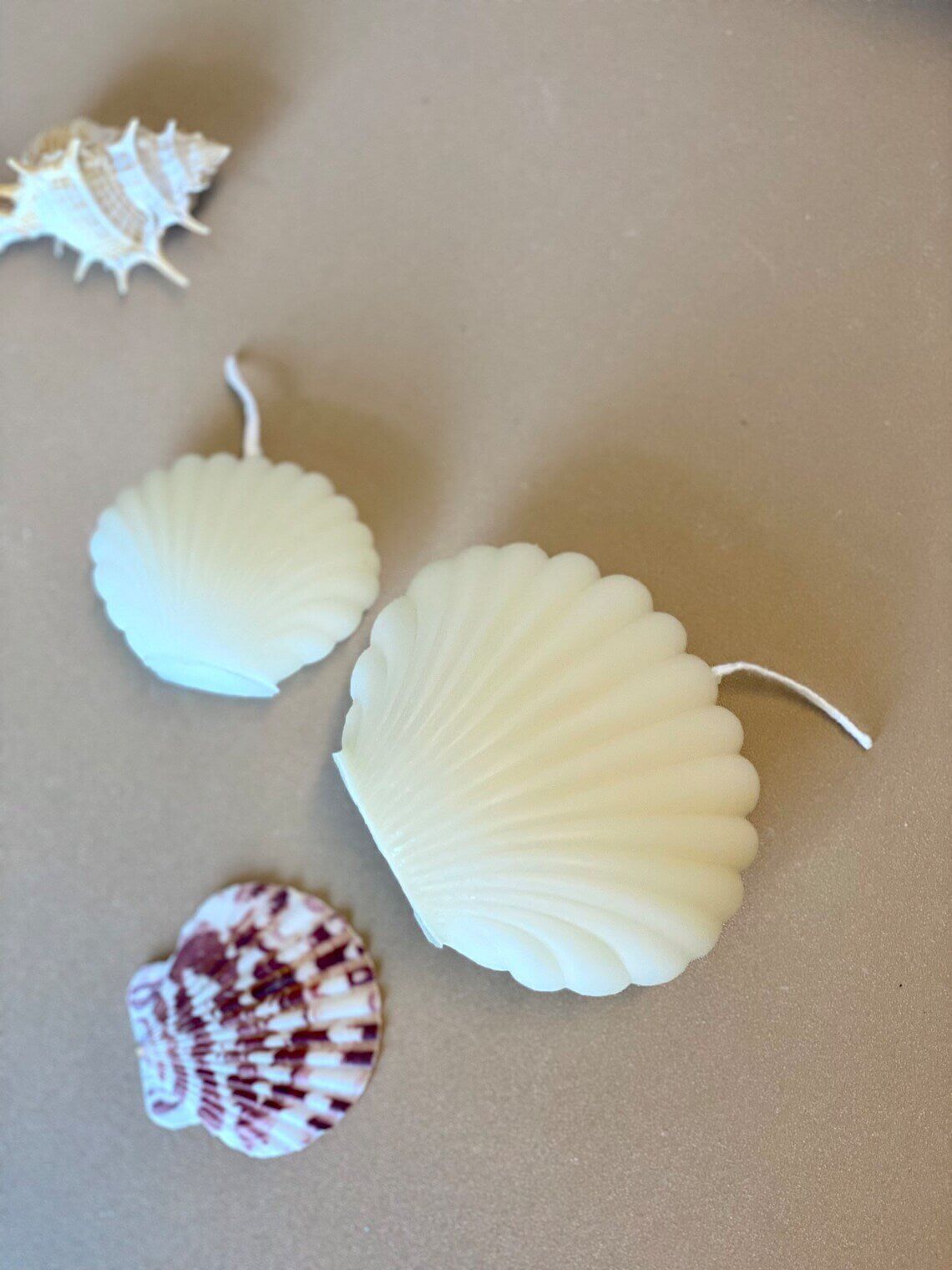 Handmade Soy Wax Shell Candles - Unique Eco-Friendly Decor with Soy Wax Shell Handmade Candles