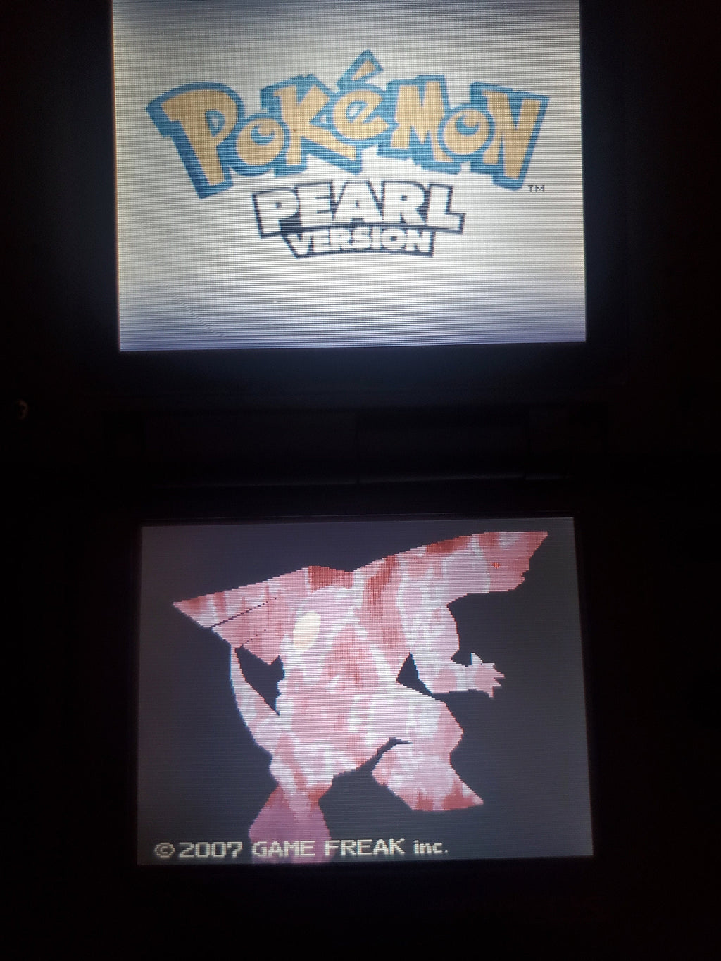 Nintendo DS Video Game Cartridge Collection