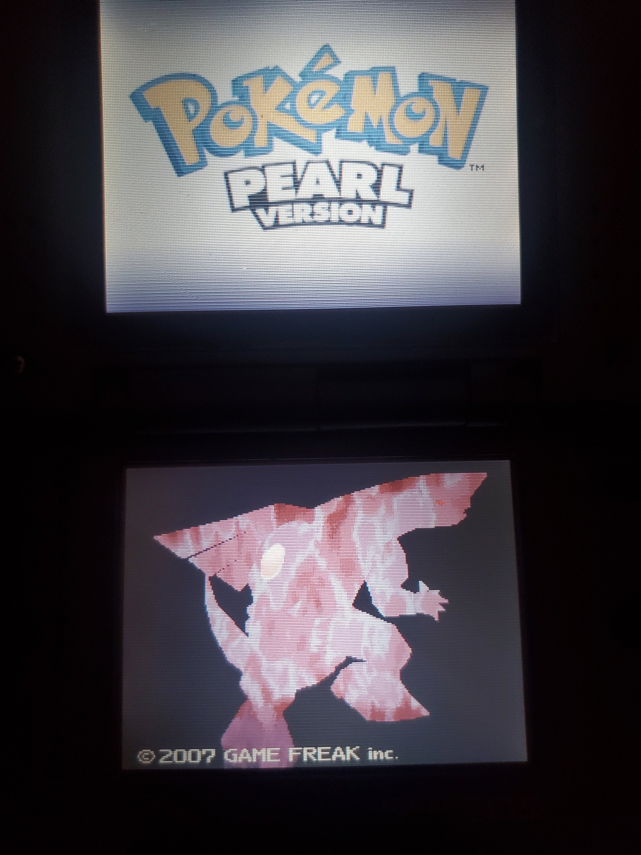 Nintendo DS Video Game Cartridge Collection
