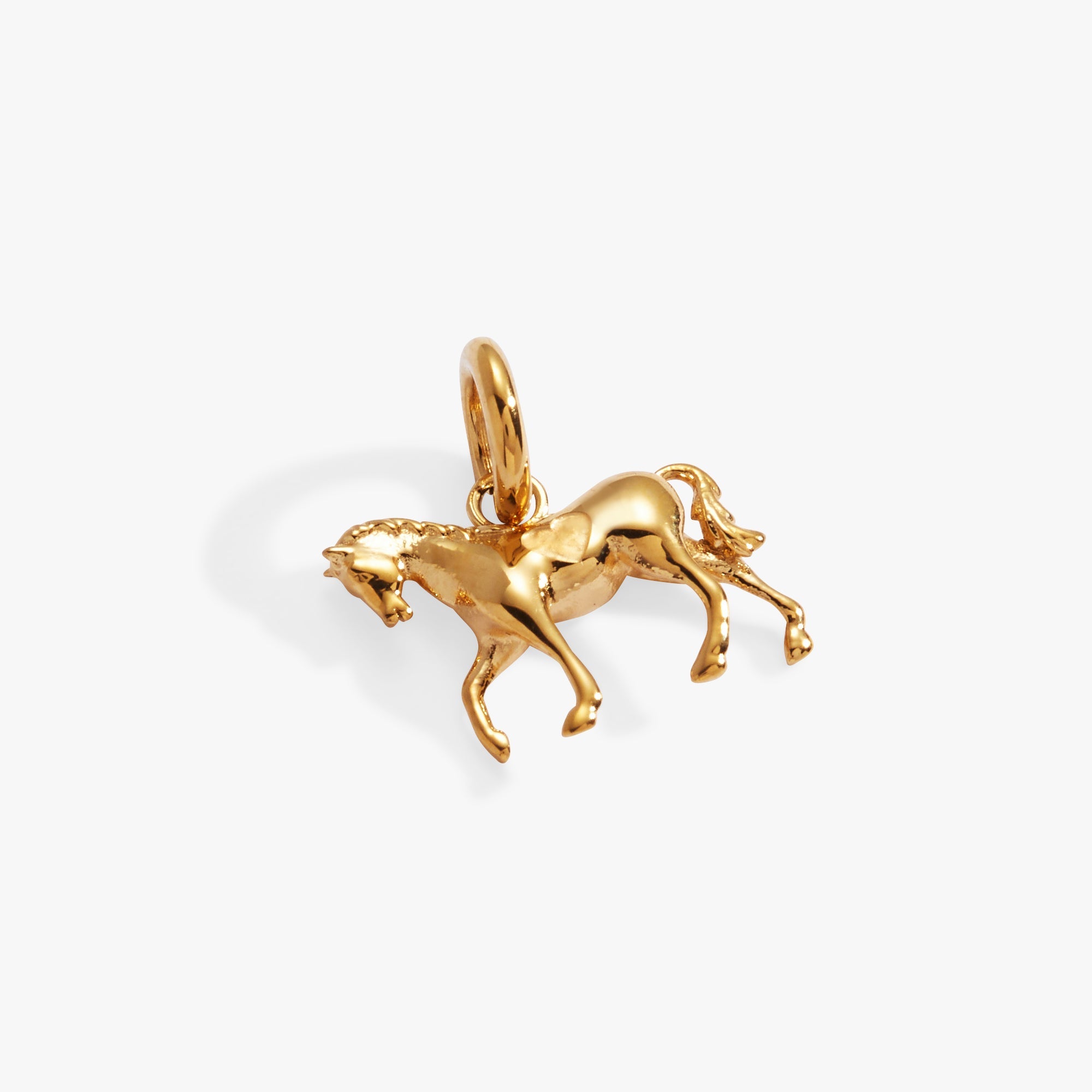 Horse Interchangeable Charm