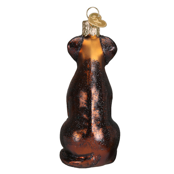 Chocolate Labrador Glass Ornament