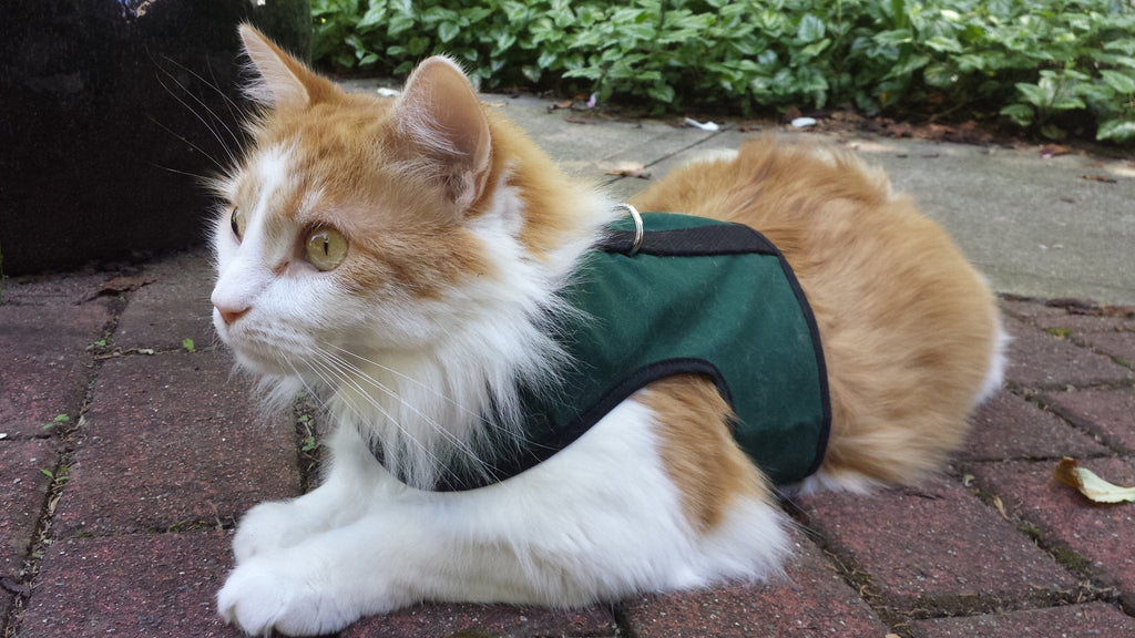 Kitty Holster Cat Harness (Made in USA)