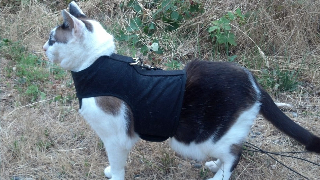 Kitty Holster Cat Harness (Made in USA)