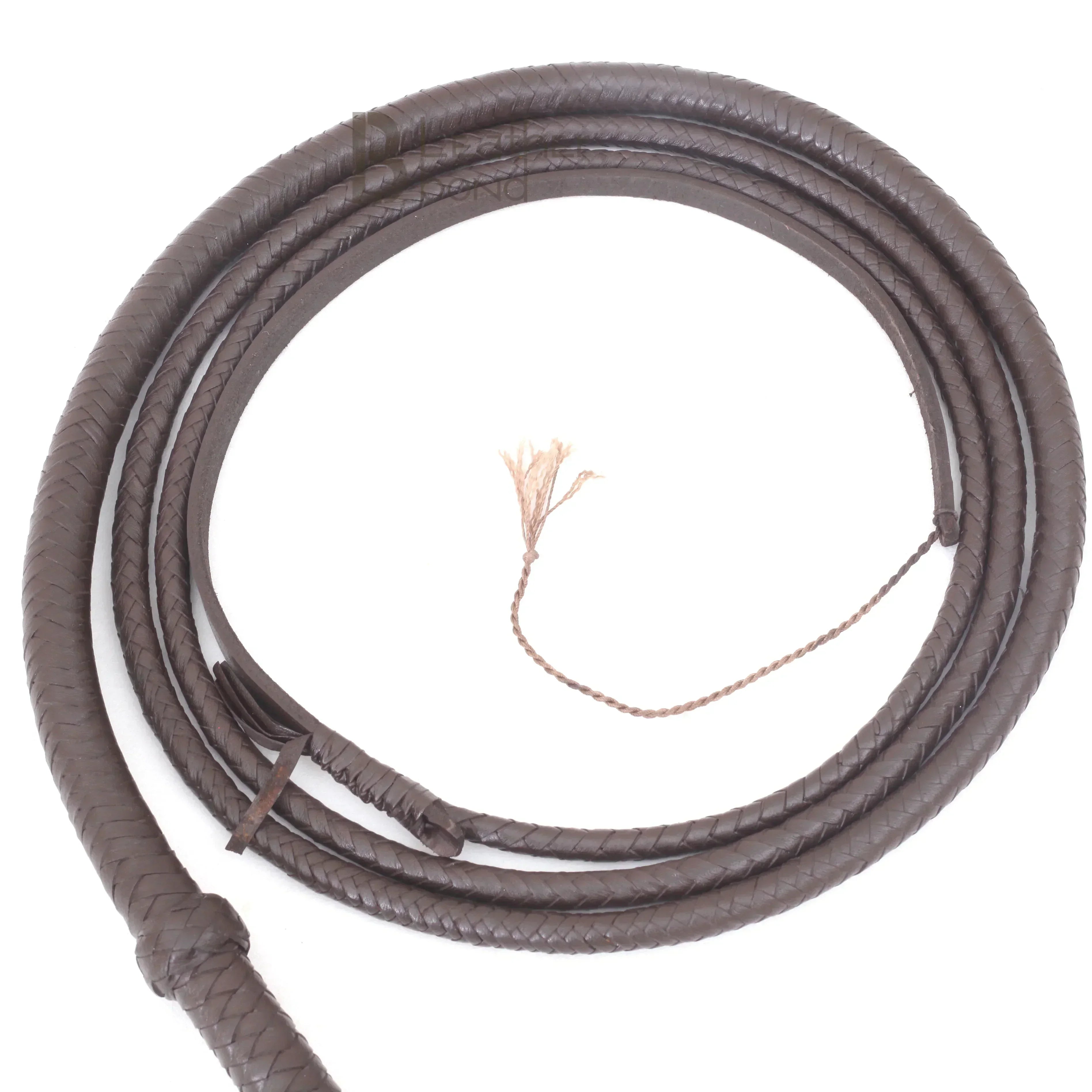 Indiana Jones 6ft, 8ft, 10ft & 12ft with 8 Plait Dark Brown Bullwhip Real Genuine Cowhide Leather Bull Whip