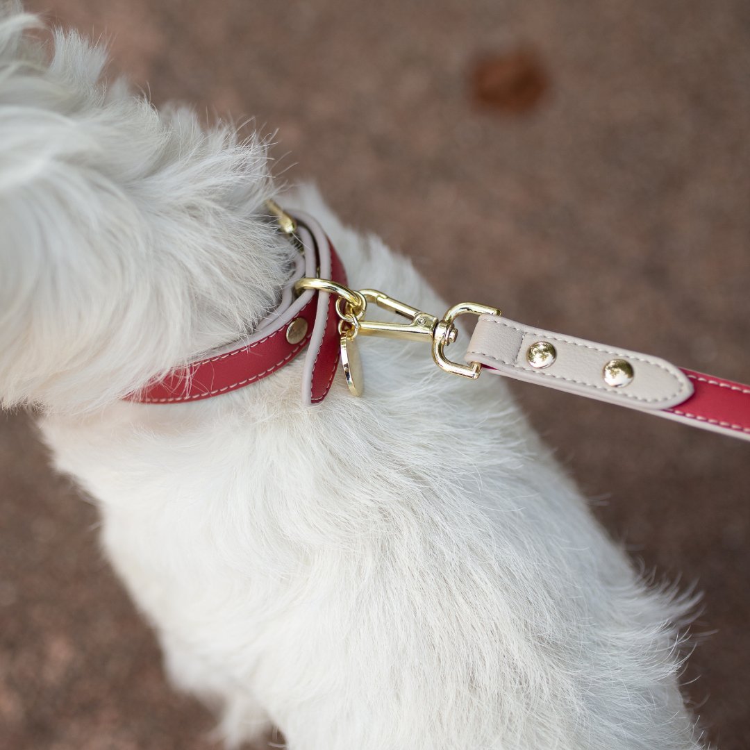 Leash 4ft - Vegan Leather