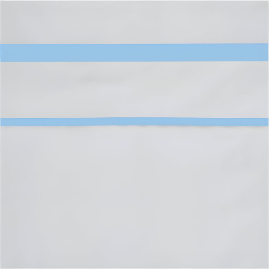 400TC Embroidery & Border Cotton Sateen Solid Duvet Cover Set