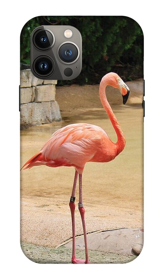 Lone Flamingo at Sea World Park in Florida - Phone Case