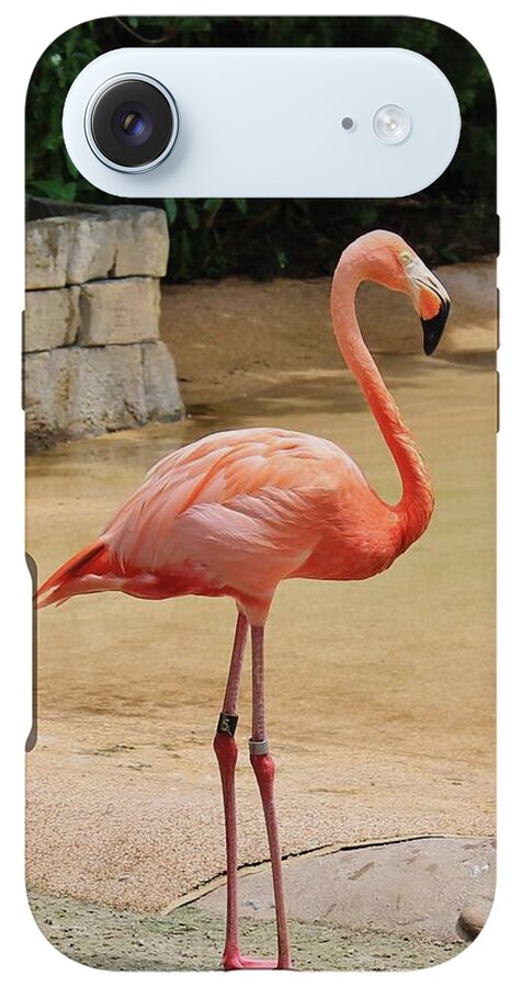 Lone Flamingo at Sea World Park in Florida - Phone Case