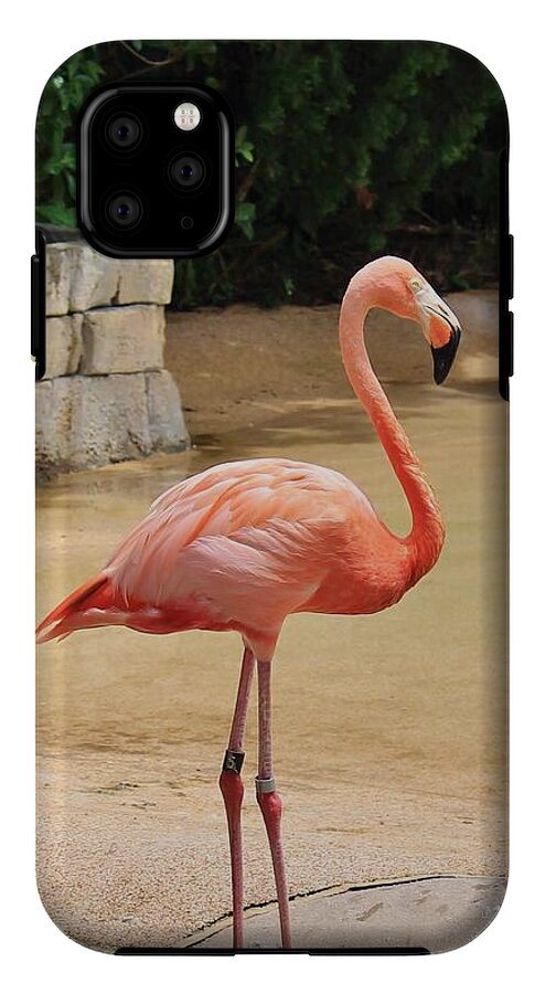 Lone Flamingo at Sea World Park in Florida - Phone Case