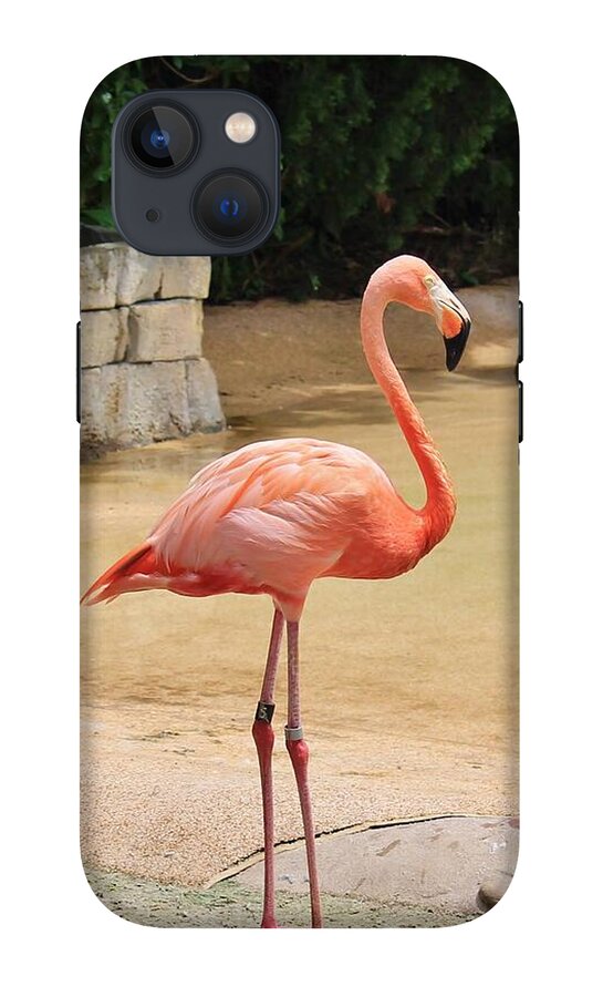 Lone Flamingo at Sea World Park in Florida - Phone Case