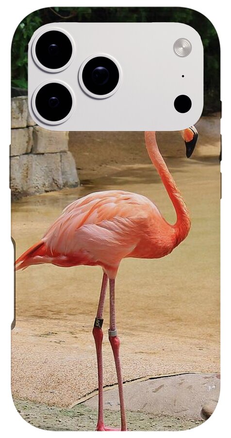 Lone Flamingo at Sea World Park in Florida - Phone Case