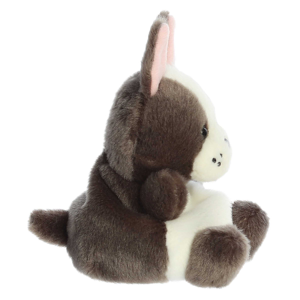 Beau French Bulldog  Palm Pal