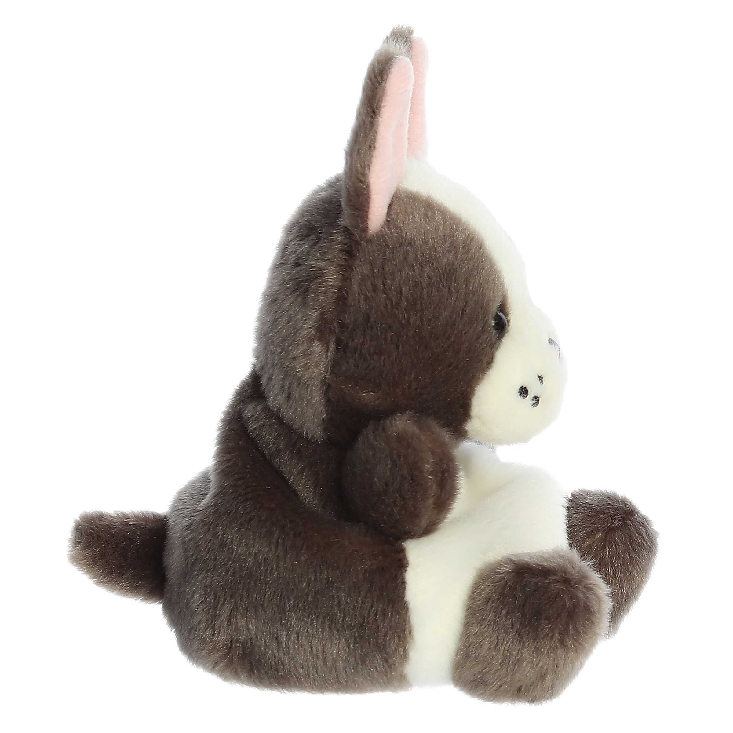 Beau French Bulldog  Palm Pal