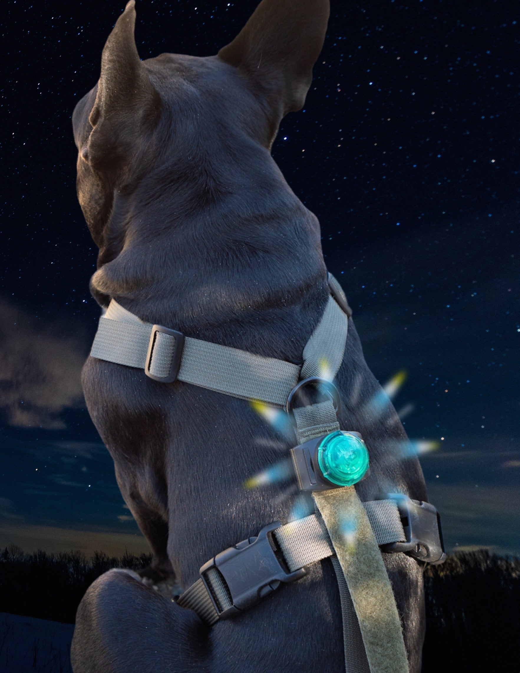 SF1 Clip-on Safety Light