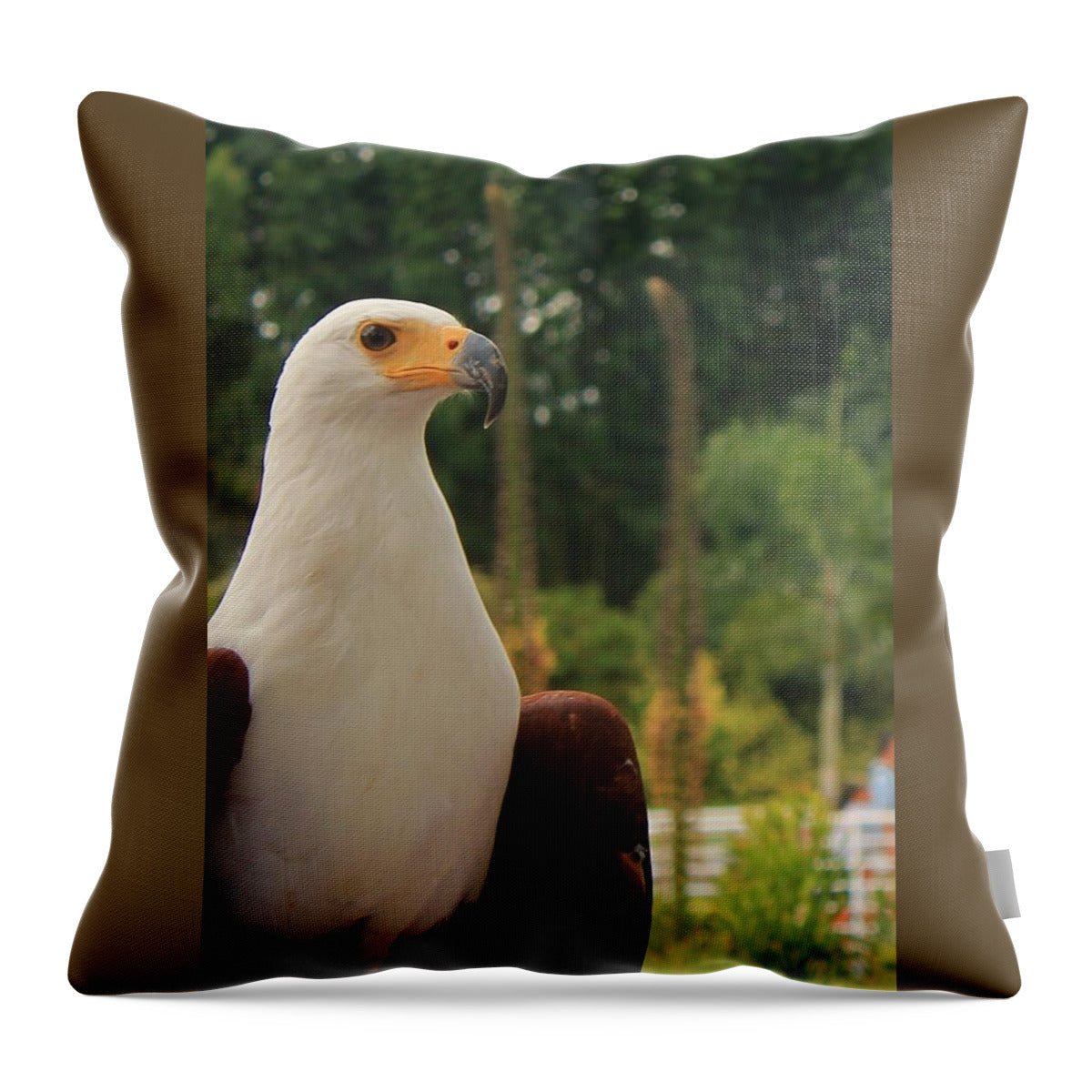 Majestic American Bald Eagle Eagle - Throw Pillow