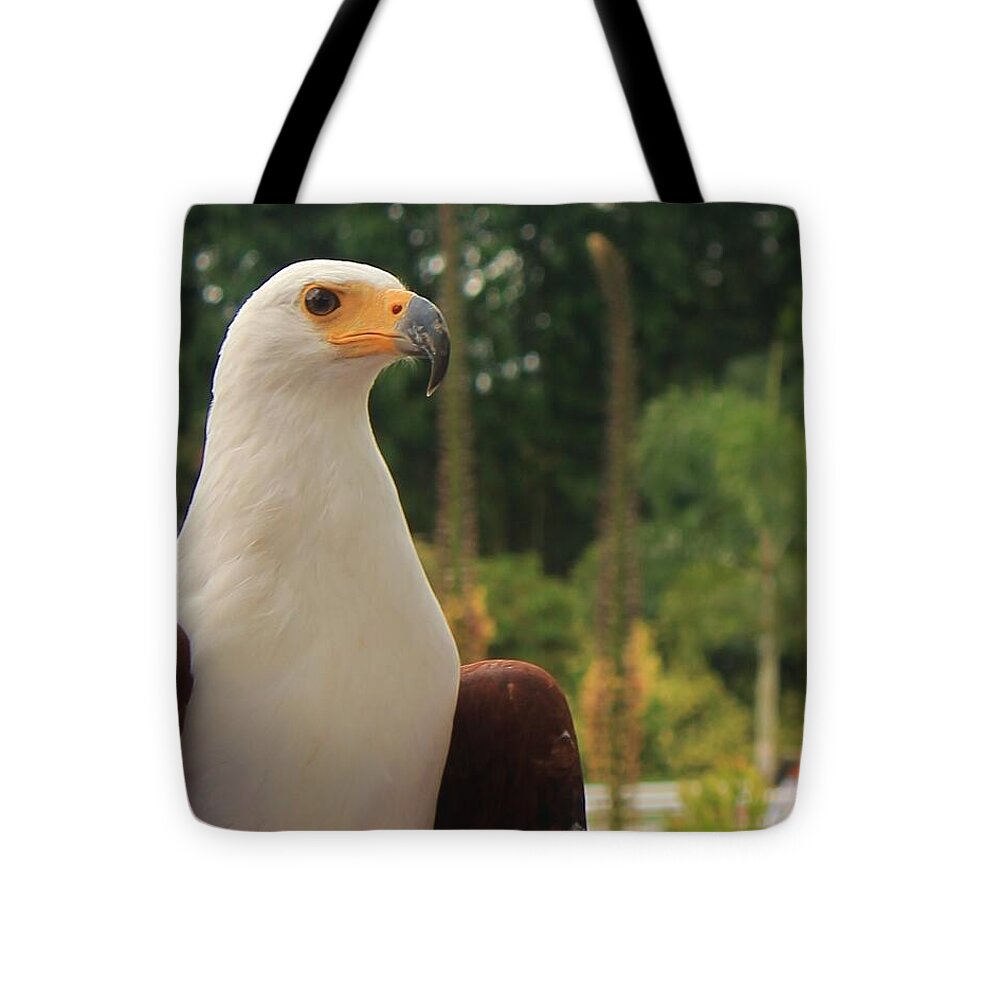 Majestic American Bald Eagle Eagle - Tote Bag
