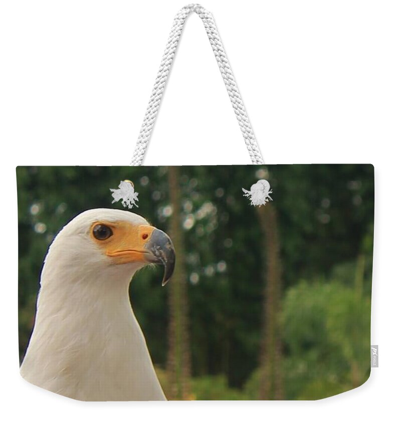 Majestic American Bald Eagle Eagle - Weekender Tote Bag