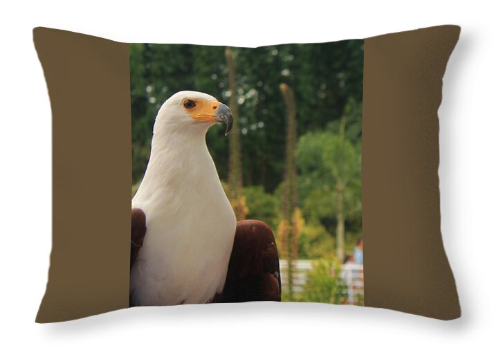 Majestic American Bald Eagle Eagle - Throw Pillow